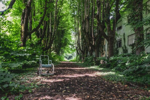 Psychiatric Hospital