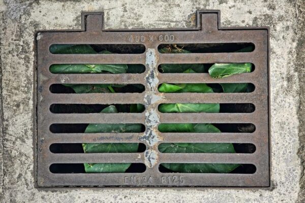 Drain Cleaning