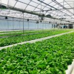 vertical farming technology