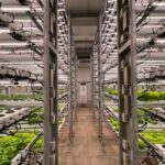 vertical farming technology