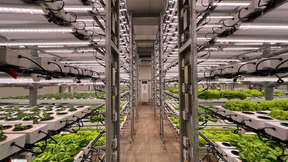 vertical farming technology