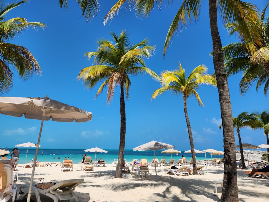 vacation packages